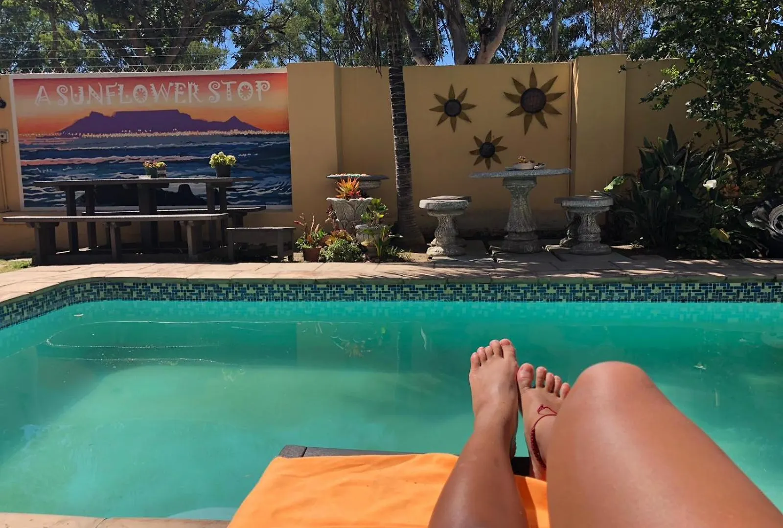 Hostal A Sunflower Stop Backpackers Ciudad del Cabo