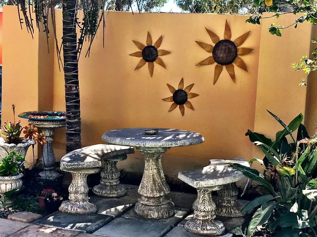 Hostel A Sunflower Stop Backpackers Cape Town South Africa