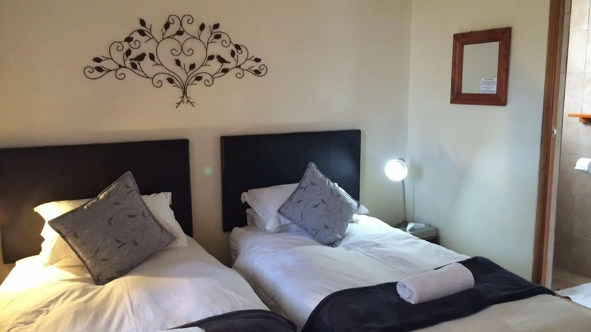 A Sunflower Stop Backpackers Cape Town Hostel