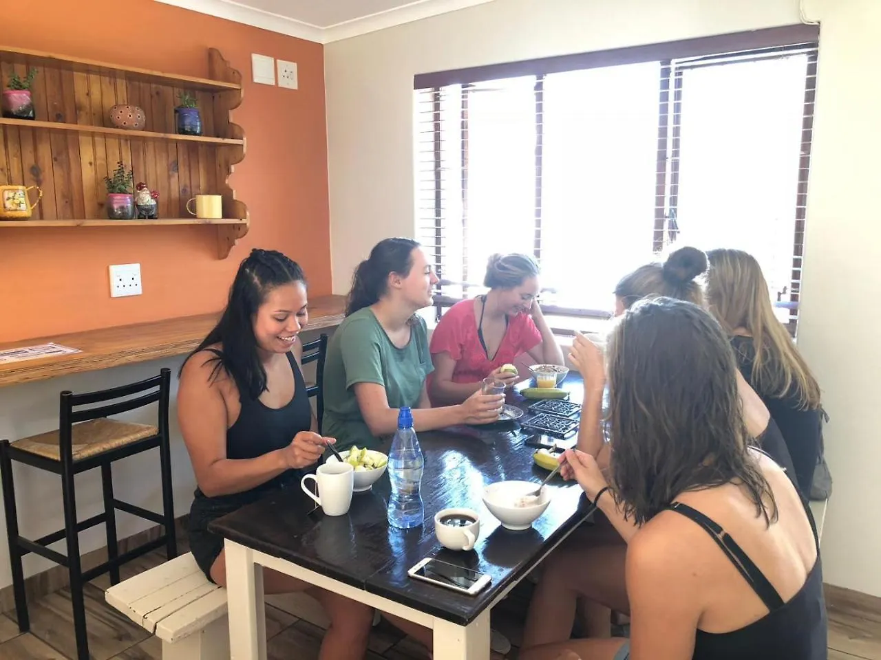 A Sunflower Stop Backpackers Cape Town Güney Afrika