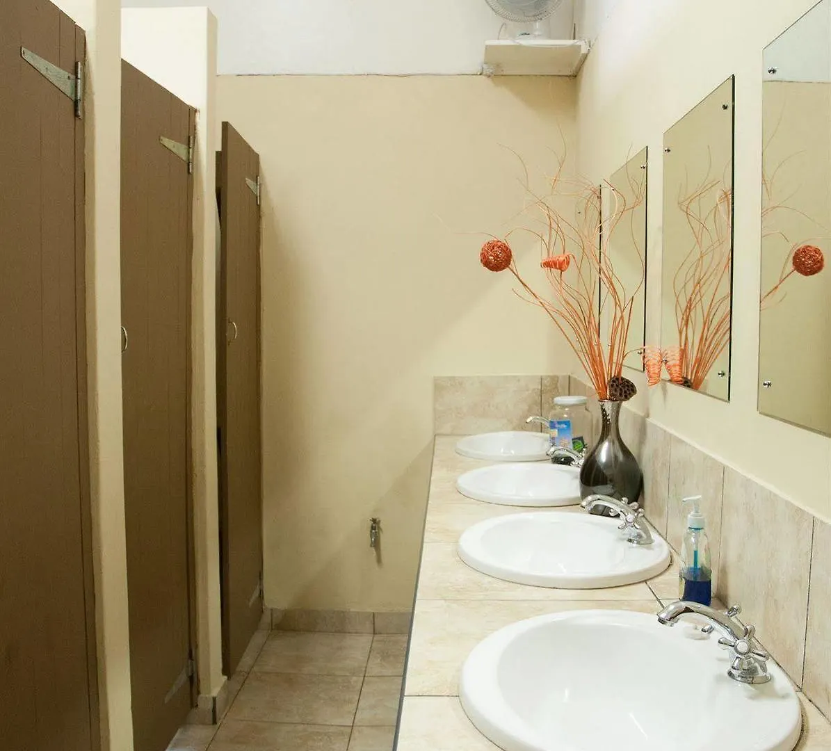 Hostel A Sunflower Stop Backpackers Kapstadt