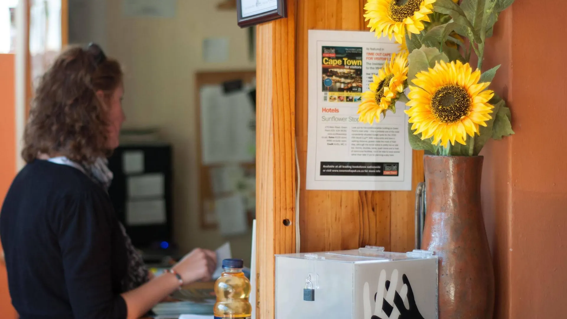 A Sunflower Stop Backpackers Cape Town South Africa