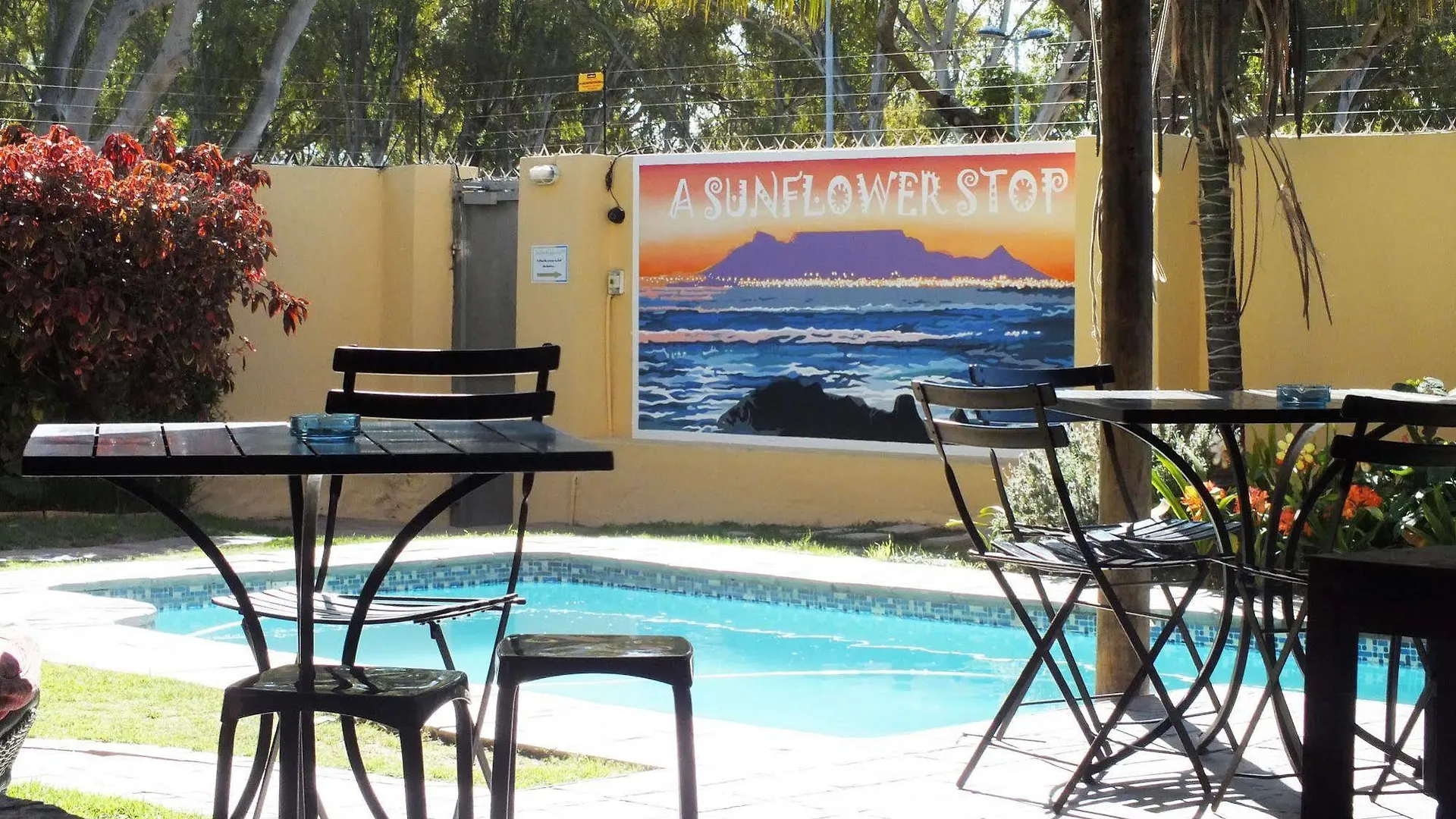 A Sunflower Stop Backpackers Cape Town